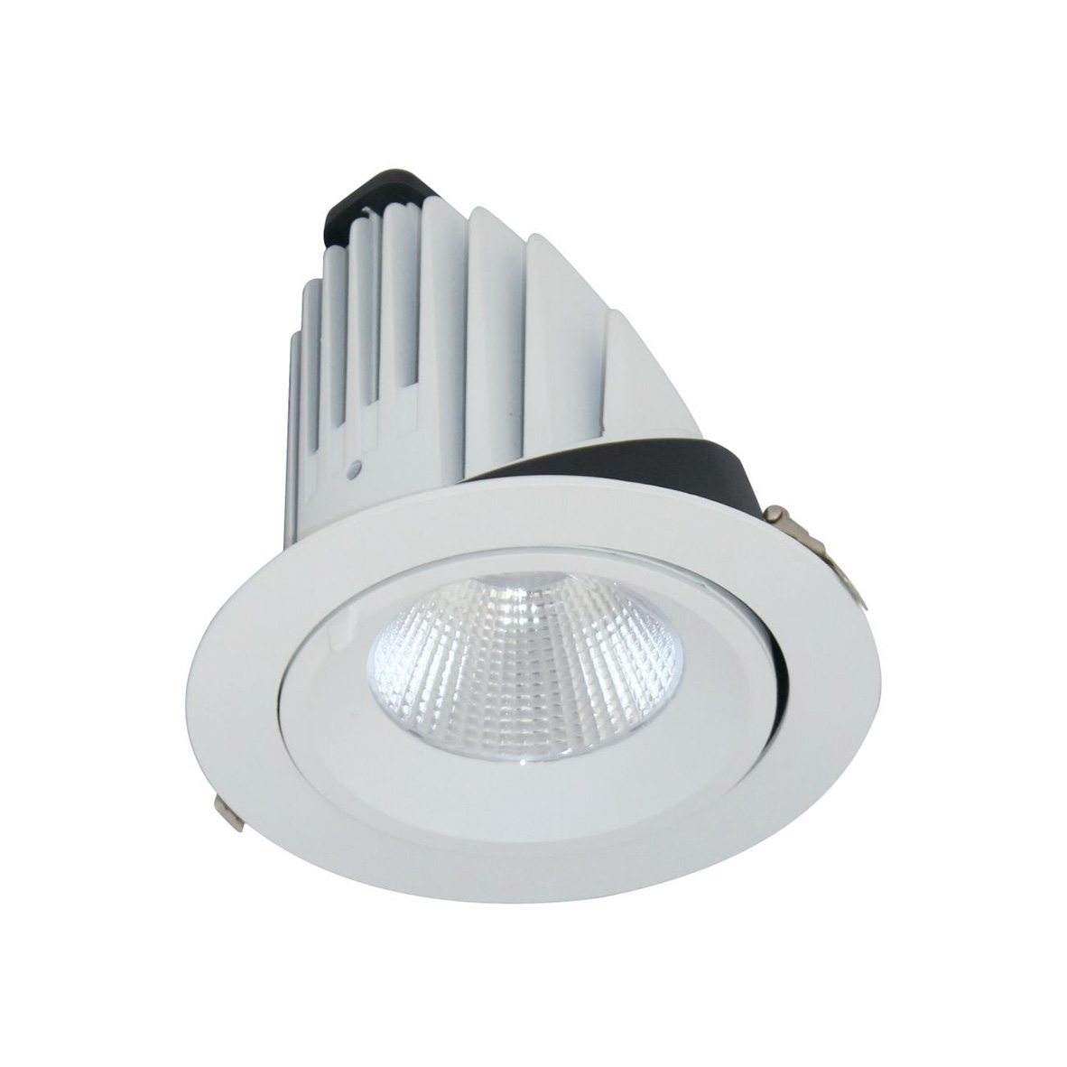ĐÈN LED DOWNLIGHT CHIẾU SÂU 40W