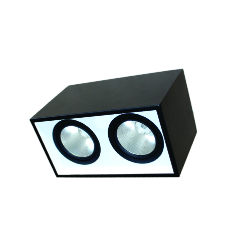 ĐÈN LED DOWNLIGHT GẮN NỔI CHIẾU SÂU 2X30W