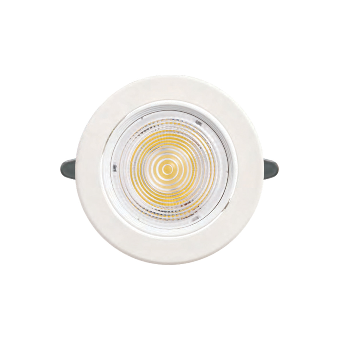 ĐÈN LED DOWNLIGHT CHIẾU ĐIỂM 20W