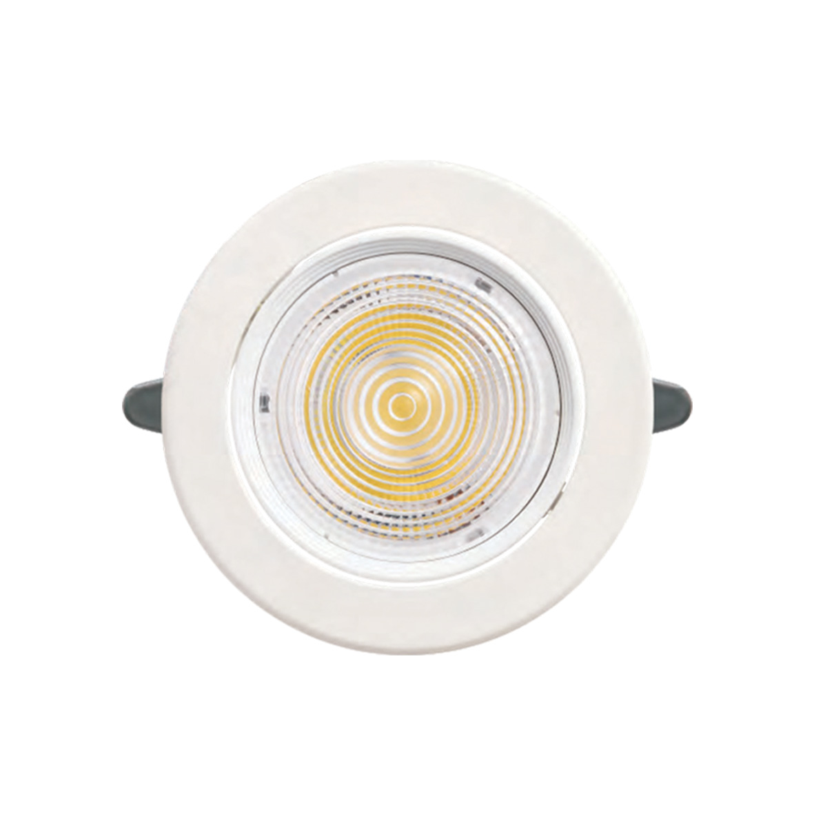 ĐÈN LED DOWNLIGHT CHIẾU ĐIỂM 30W